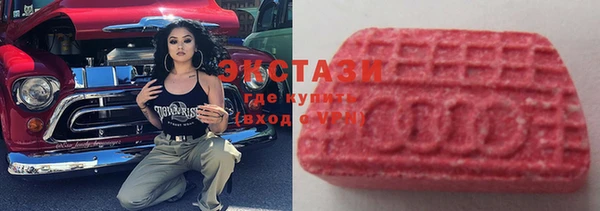 крисы Алзамай